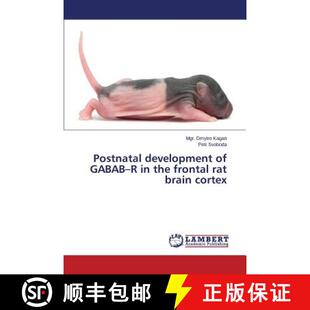 9783659613319 frontal Postnatal development rat GABAB cortex 预订 brain the