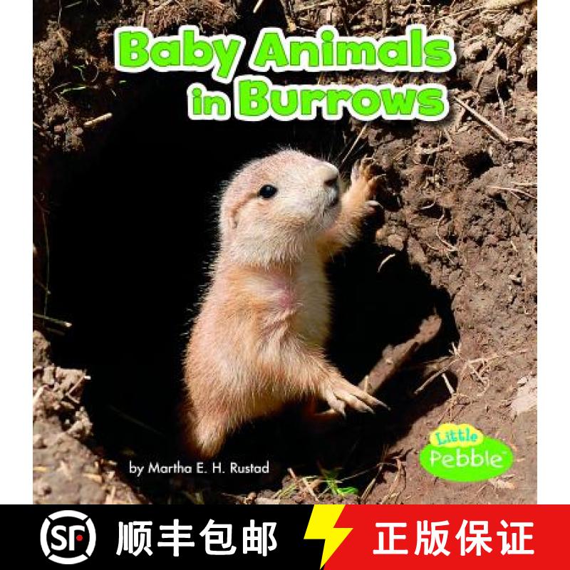 预订 Baby Animals in Burrows [9781515738350]