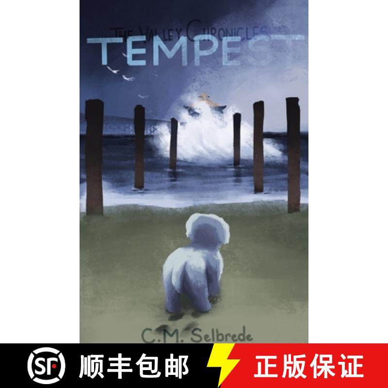 【3-4周达】The Valley Chronicles: Tempest [9780359705429]