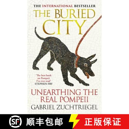 【3-4周达】精装 The Buried City : The Revelatory New History from the Director of Pompeii - a Sunday ... [9781399731171]