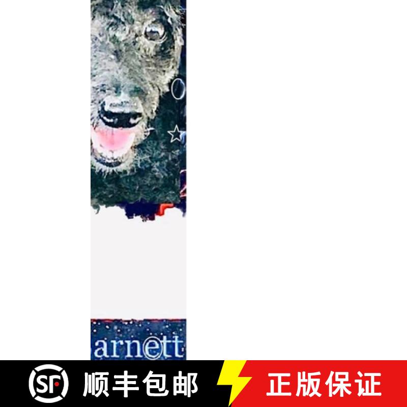 预订 My 2022 Sketchy Book.: 44 Art Forms [9781794868014]