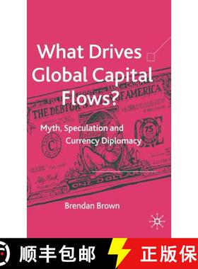 【3-4周达】What Drives Global Capital Flows?: Myth, Speculation and Currency Diplomacy [9781403947574]