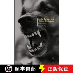 Critical 9781349957651 4周达 Sumner After Criminology and Censure Social