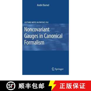 Noncovariant Gauges Formalism 4周达 Canonical 9783642089404