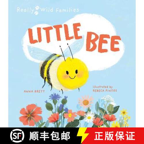 精装 Little Bee: A Day in the Life of the Bee Brood [9780711274143]