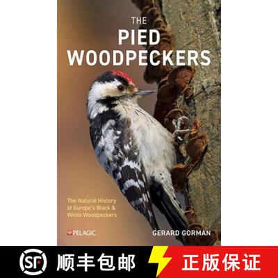 预订 The Pied Woodpeckers : The Natural History of Europe's Black & White Woodpeckers [9781784275969]