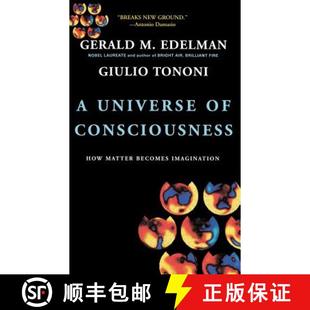 Becomes 9780465013777 Consciousness How 4周达 Universe Imagination Matter
