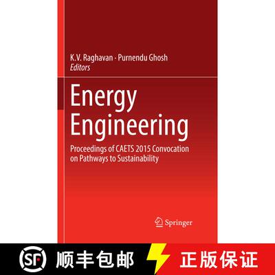 【3-4周达】Energy Engineering: Proceedings of CAETS 2015 Convocation on Pathways to Sustainability (S... [9789811097904]