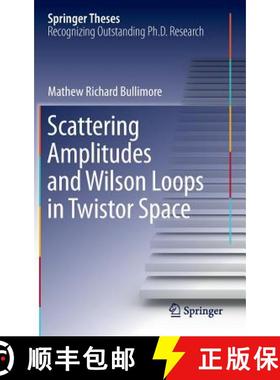 【3-4周达】Scattering Amplitudes and Wilson Loops in Twistor Space [9783319009087]