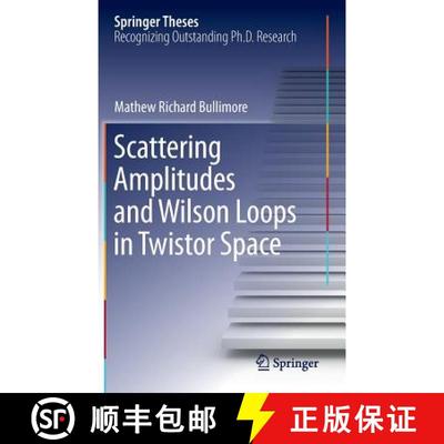 【3-4周达】Scattering Amplitudes and Wilson Loops in Twistor Space [9783319009087]