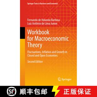 Closed 4周达 Macroeconomic for Fluctuations Open Growth Workbook and Inflation 9783031820168 ... Theory