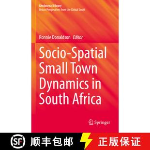 South 9783031371448 Socio Town Dynamics Small 4周达 Spatial Africa
