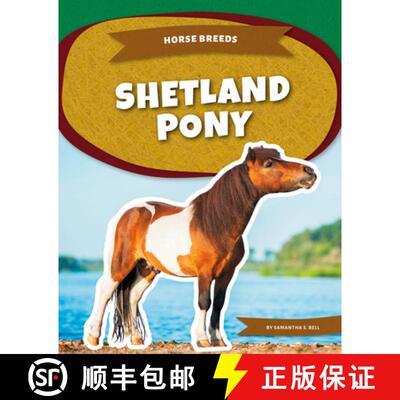 【3-4周达】Shetland Pony [9781098297510]