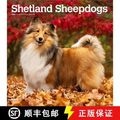 【3-4周达】Shetland Sheepdogs 2026 12 X 24 Inch (Hanging) Monthly Square Wall Calendar Plastic-Free [9798330705511]