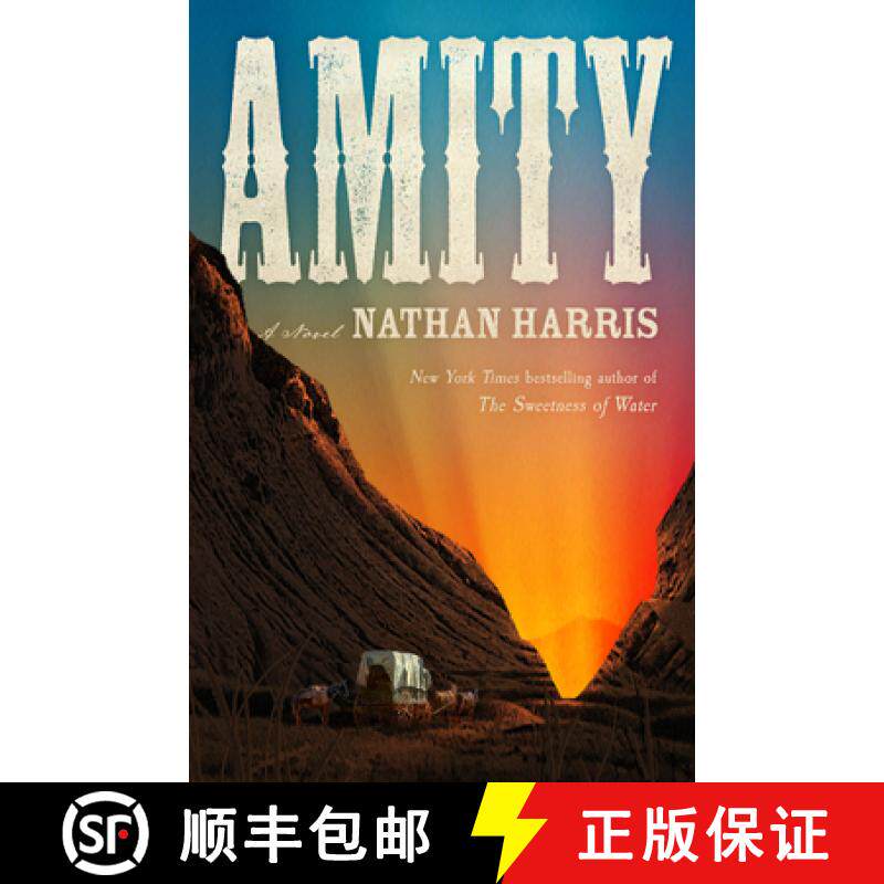 【3-4周达】Amity [9780316456241]