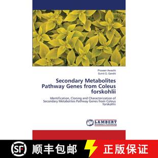 Pathway Genes 9786139860036 Secondary forskohlii Metabolites Coleus 预订 from