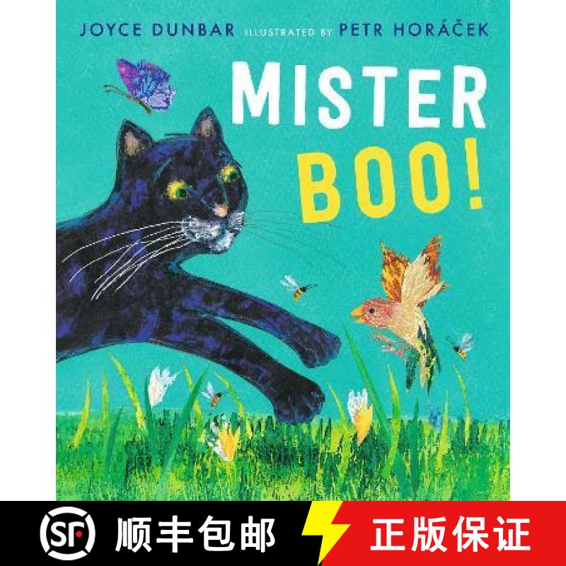 【3-4周达】Mister Boo! [9781529504071]