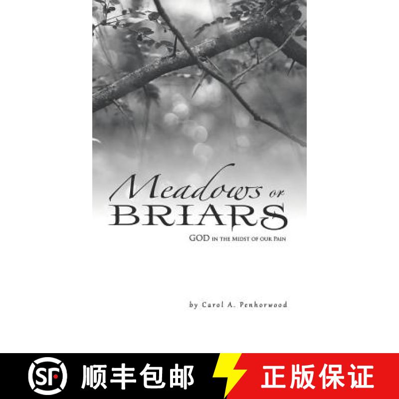 【3-4周达】Meadows or Briars: God in the Midst of Our Pain [9781973624059]