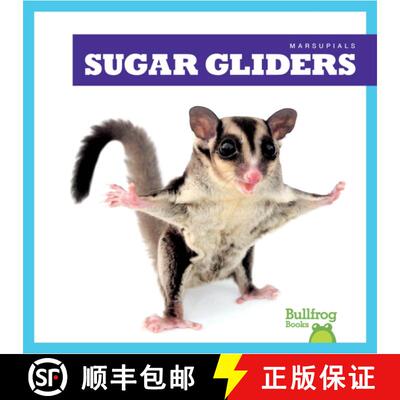 【3-4周达】Sugar Gliders [9798892135269]