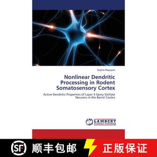 Processing 9783659411878 Nonlinear Cortex Dendritic Somatosensory 预订 Rodent