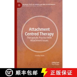 9783031608506 Practice 4周达 Attachment Centred With Therapeutic Therapy Issues