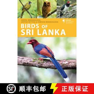 the 4周达 Guide Lanka 9781408110416 Birds Photographic Sri