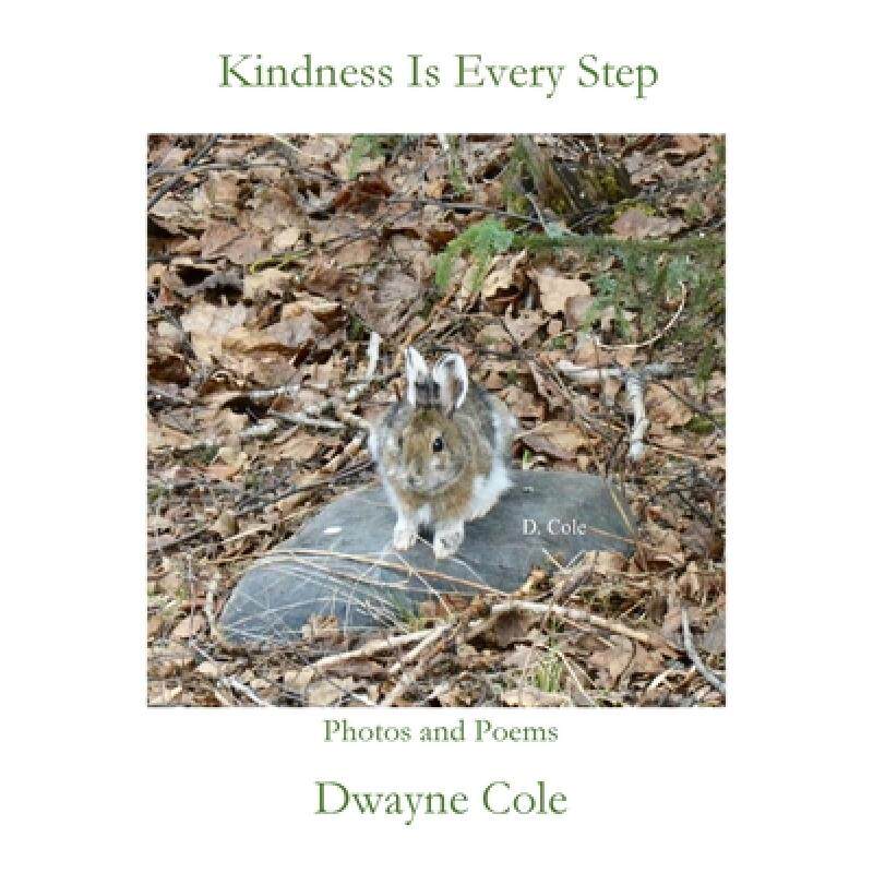 预订 kindness is every step [9781951472931]