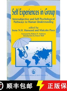 【3-4周达】Self Experiences in Group: Intersubjective and Self Psychological Pathways to Human Unders... [9781853025969]