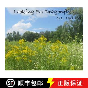 【3-4周达】精装 Looking For Dragonflies [9781732844506]
