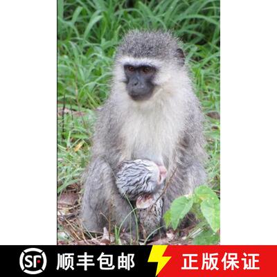 【3-4周达】Mandi Monkey and Other Stories [9781312277106]
