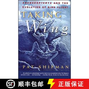 the Archaeopteryx Evolution Flight Taking Bird 4周达 9780684849652 Wing and