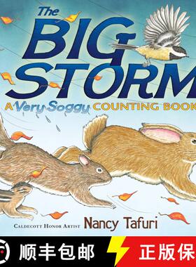 【3-4周达】The Big Storm: A Very Soggy Counting Book [9781442481794]