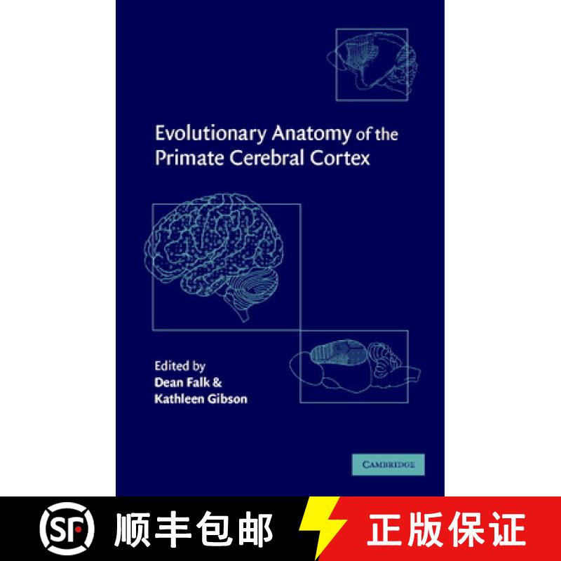 【3-4周达】Evolutionary Anatomy of the Primate Cerebral Cortex [9780521642712]