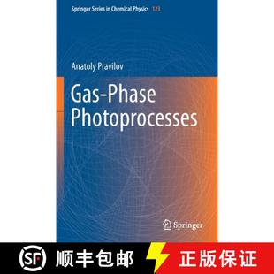 Photoprocesses 4周达 Phase 9783030655723 Gas