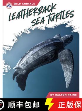 【3-4周达】Leatherback Sea Turtles [9798892505499]