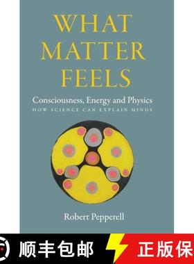 预订 What Matter Feels:  Consciousness, Energy and Physics (How Science can Explain Minds) [9781068523212]