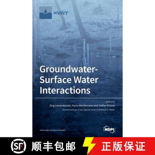 Groundwater Water 预订 Surface Interactions 9783039289059