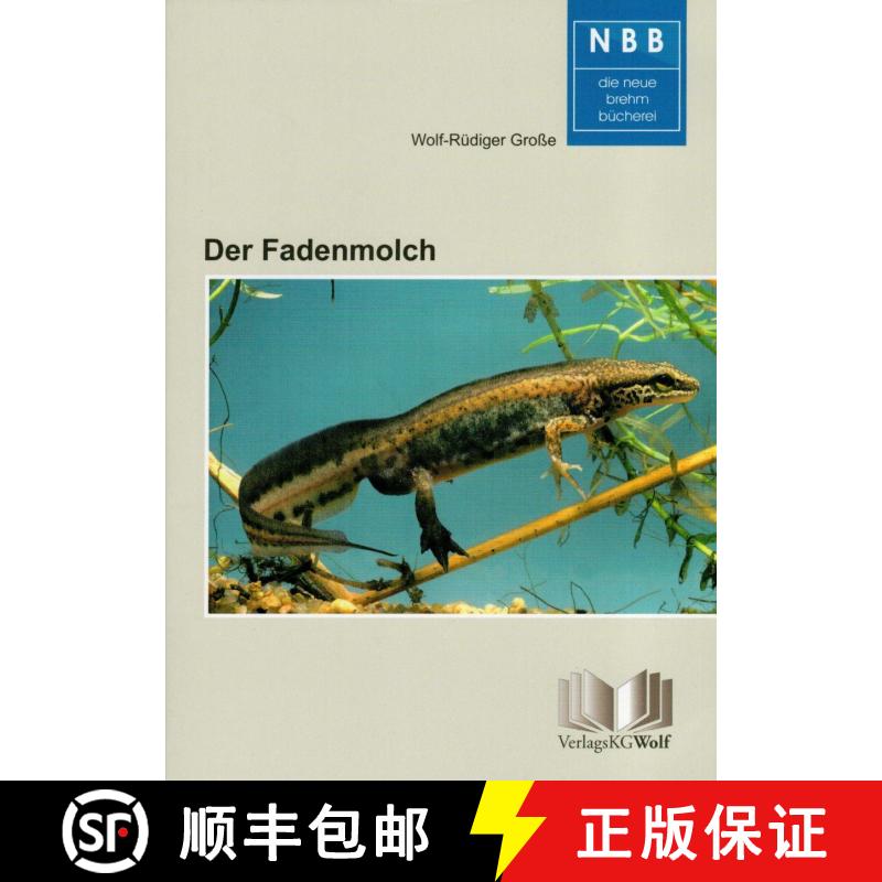 预订 Der Fadenmolch (Lissotriton helveticus) [The Palmate Newt] [9783894322854]