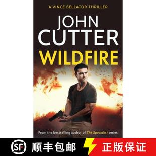 action packed vigilante 预订 9781839014277 thriller Wildfire