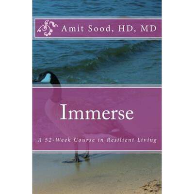 【4周达】Immerse: A 52-Week Course in Resilient Living: A Commitment to Live With Intentionality, Dee... [9780692615416]