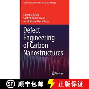 Defect Engineering Nanostructures 4周达 Carbon 9783030943745