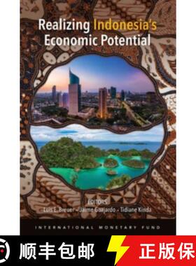 【3-4周达】Realizing Indonesia's Economic Potential [9781484337141]