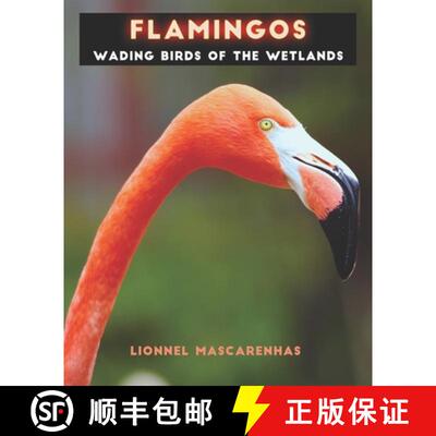 【3-4周达】Flamingos: Wading birds of the wetlands [9781949002553]