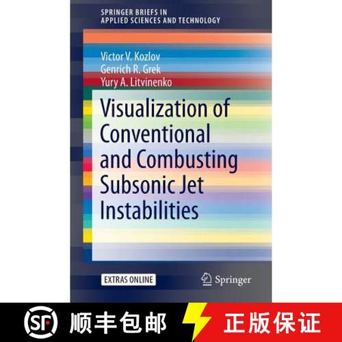【3-4周达】Visualization of Conventional and Combusting Subsonic Jet Instabilities [9783319269573]