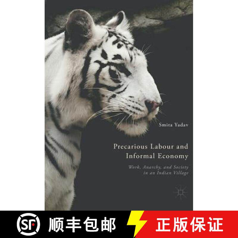 【3-4周达】Precarious Labour and Informal Economy : Work, Anarchy, and Society in an Indian Village [9783030085889]