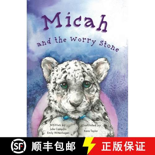 预订 Micah and the Worry Stone [9798218226305]