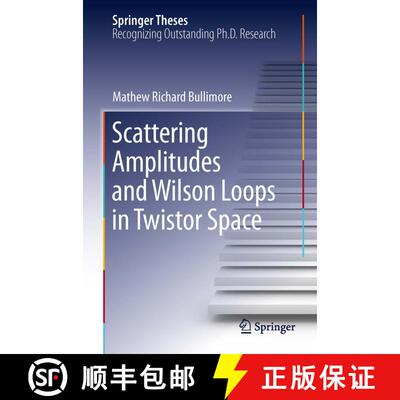 【3-4周达】精装 Scattering Amplitudes and Wilson Loops in Twistor Space [9783319009087]