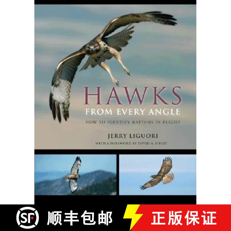 【3-4周达】Hawks from Every Angle: How to Identify Raptors in Flight [9780691118253]