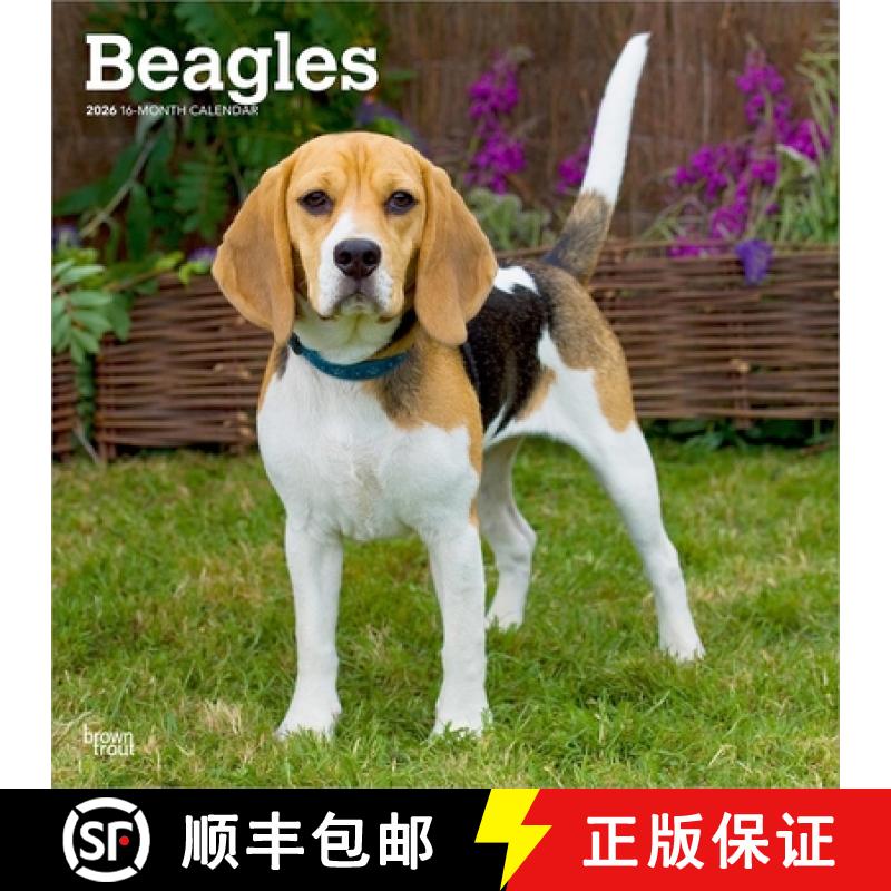 【2-3周达】Beagles 2026 12 X 24 Inch (Hanging) Monthly Square Wall Calendar Plastic-Free [9798330702381]