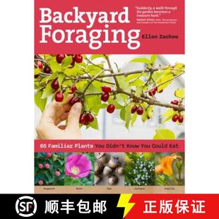 Foraging Plants Backyard Could 9781612120096 Know 4周达 Didn You Familiar Eat